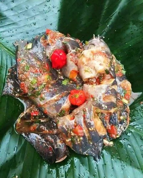 Ndomba de Silure