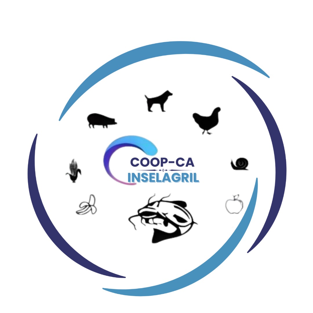 Logo COOP-CA INSELAGRIL
