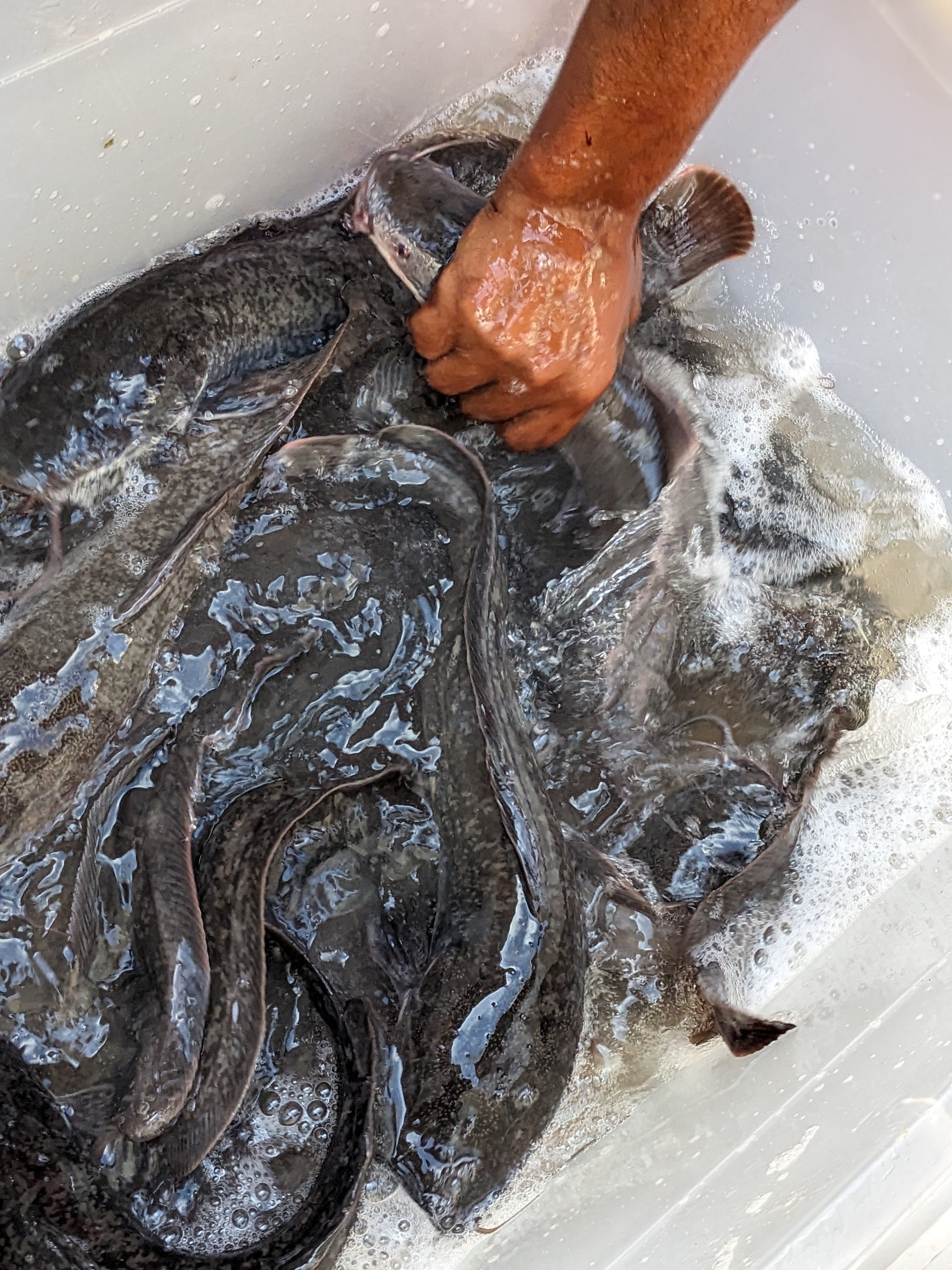 Description Produit 1